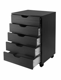 Halifax Cabinet for Closet / Office; 5 Drawers; Black