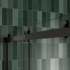 Bypass shower door, sliding door, with 5/16" tempered glass and Matted black finish 6074